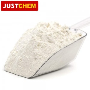 Carboxymethylcellulose Sodium (CMC)